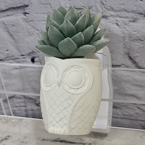 Owl Planter with Succulent Wallflower Scent Diffuser By Bath & Body Works